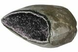Wide, Purple Amethyst Geode - Uruguay #135351-1